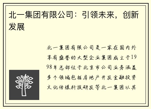 北一集团有限公司:引领未来,创新发展